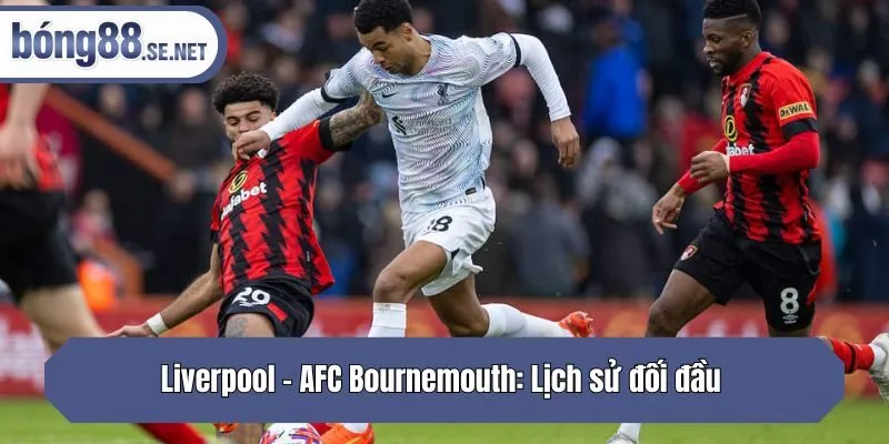 Soi kèo chấp trận Liverpool gặp Bournemouth Cùng kèo nhà cái tại hantsfbu.org.uk - Phân tích chiến thuật, dự đoán chiến thắng và những cơ hội cược lợi nhuận